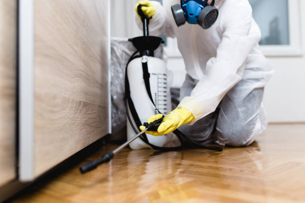 Best Pest Inspection Near Me  in Colquitt, GA