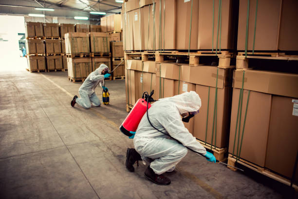 Best Wildlife Control Services  in Colquitt, GA