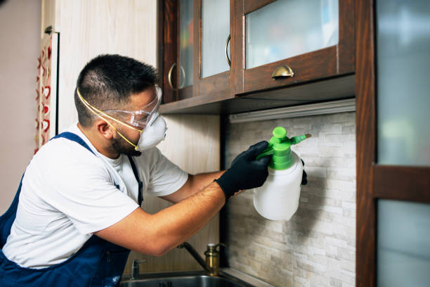 Best Best Pest Control Companies  in Colquitt, GA