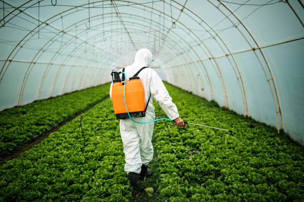Best Pest Prevention Services  in Colquitt, GA