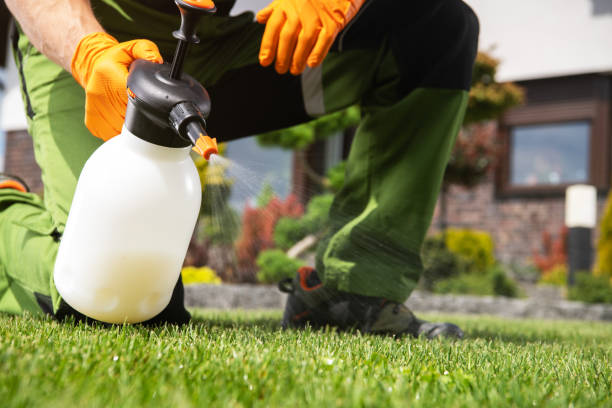 Trusted Colquitt, GA Pest Control Experts