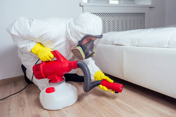 Best Bed Bug Extermination  in Colquitt, GA