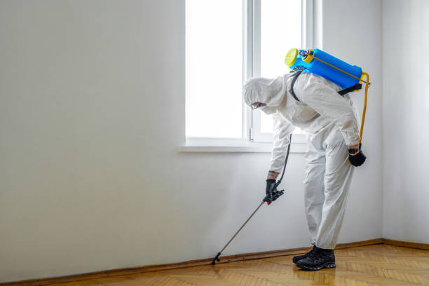 Best Residential Pest Control  in Colquitt, GA