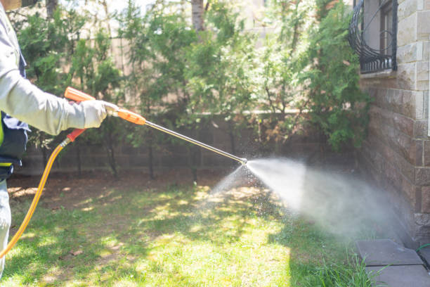 Wildlife Control Services in Colquitt, GA