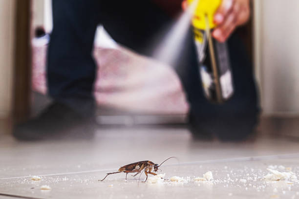 Pest Prevention Services in Colquitt, GA