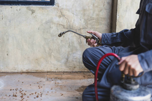 Best Pest Prevention Services  in Colquitt, GA